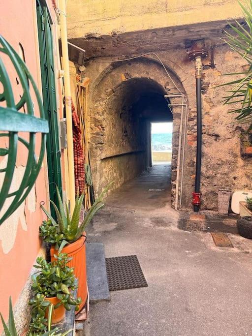 Apartmán Casa Orri Quinto Mare E Gaslini Janov Exteriér fotografie